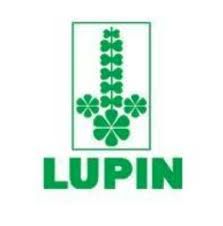 Lupin